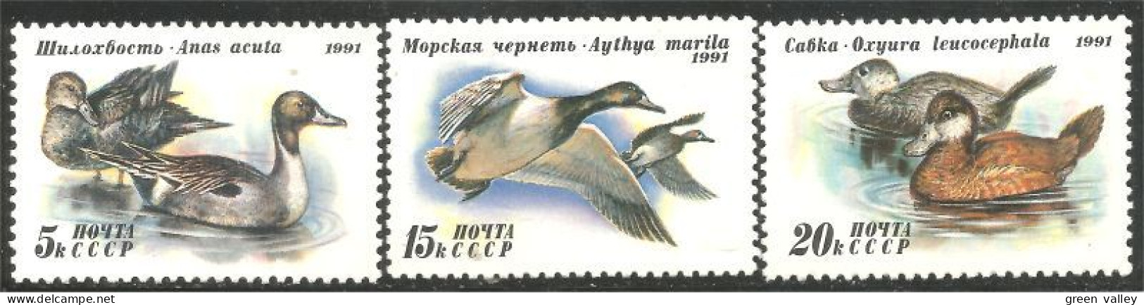 774 Russie Canards Ducks Ente Anatra Pato Eend MNH ** Neuf SC (RUS-20) - Neufs