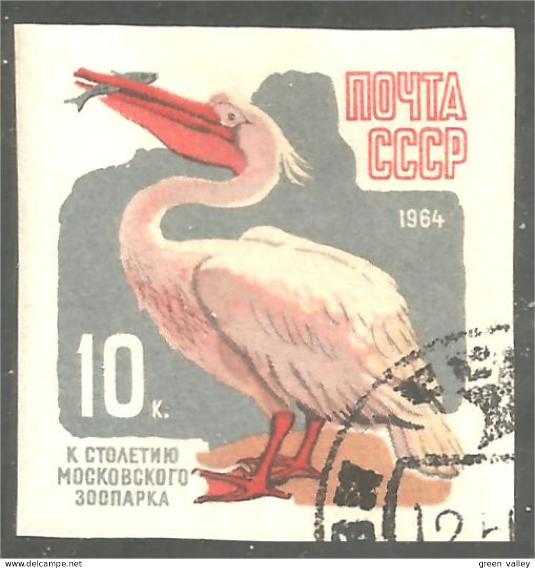 773 Russie Pelican Pelikan Pelikaan Pelicano Imperforate Non Dentelé (RUK-675) - Pelikanen