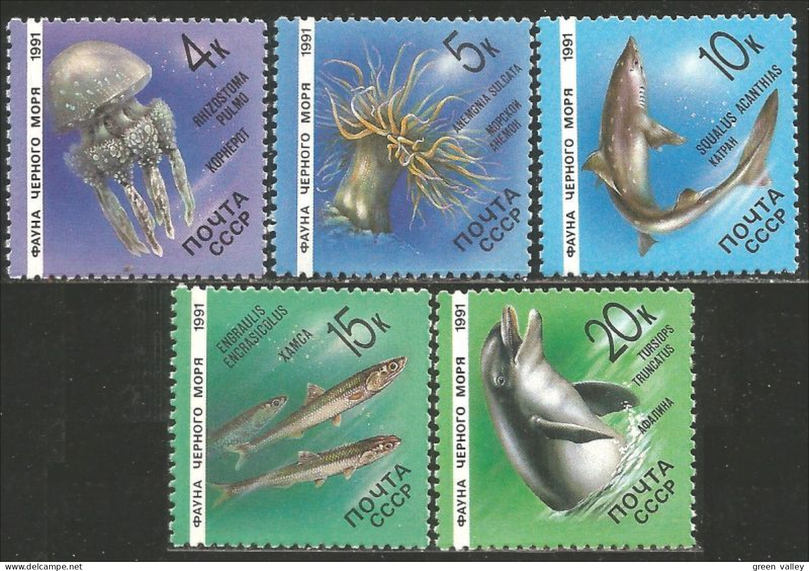 773 Russie Marine Life Anemone Dauphin Dolphin Requin Shark MNH ** Neuf SC (RUK-670b) - Otros & Sin Clasificación