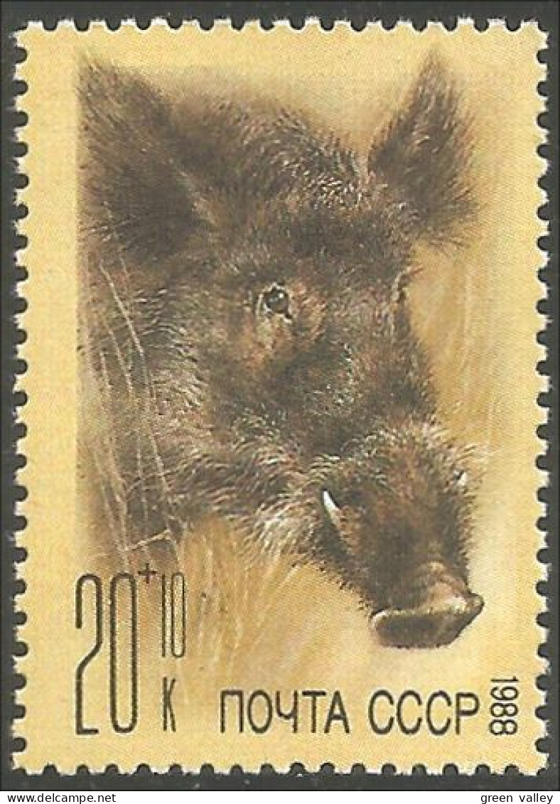 773 Russie Sanglier Boar Eber Cinghiale Jabali Zwijn Javali MNH ** Neuf SC (RUK-653a) - Neufs