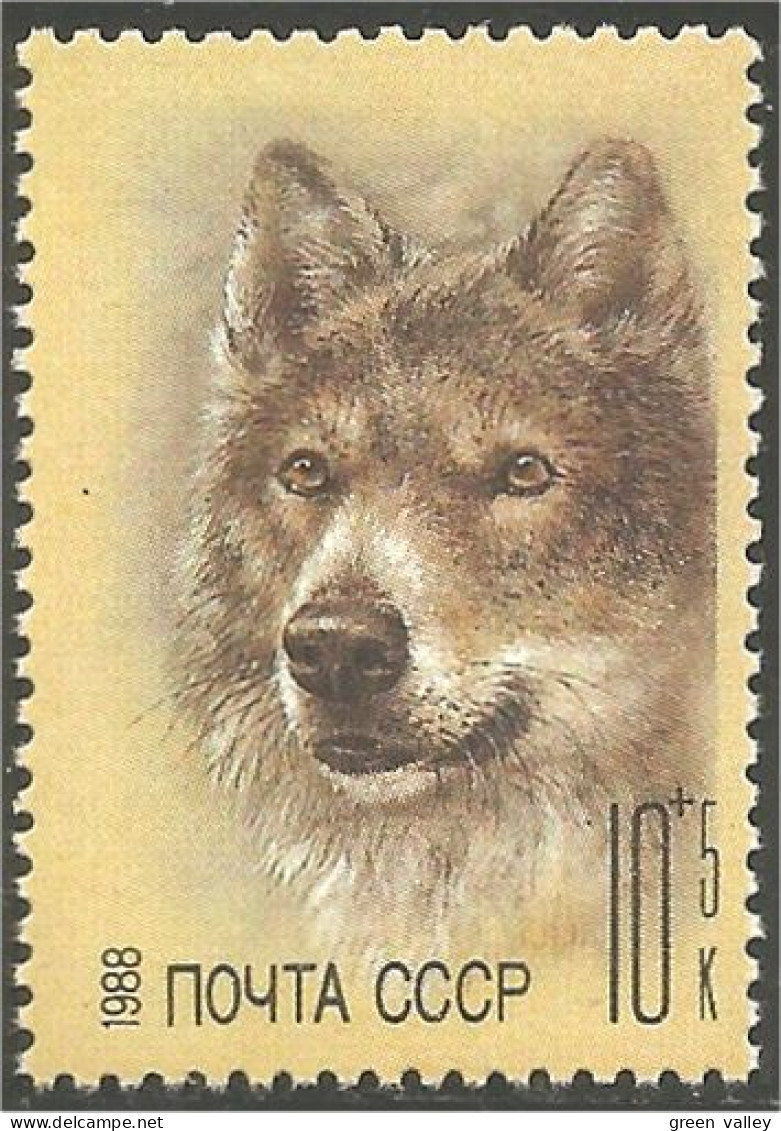 773 Russie Loup Wolf Lobo Lupo MNH ** Neuf SC (RUK-650b) - Chiens