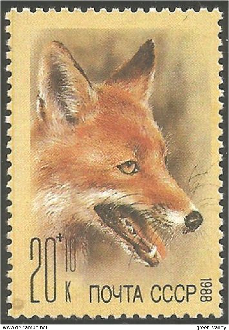 773 Russie Renard Fox Fuchs Zorro Volpe Vos Raposa MNH ** Neuf SC (RUK-651b) - Chiens