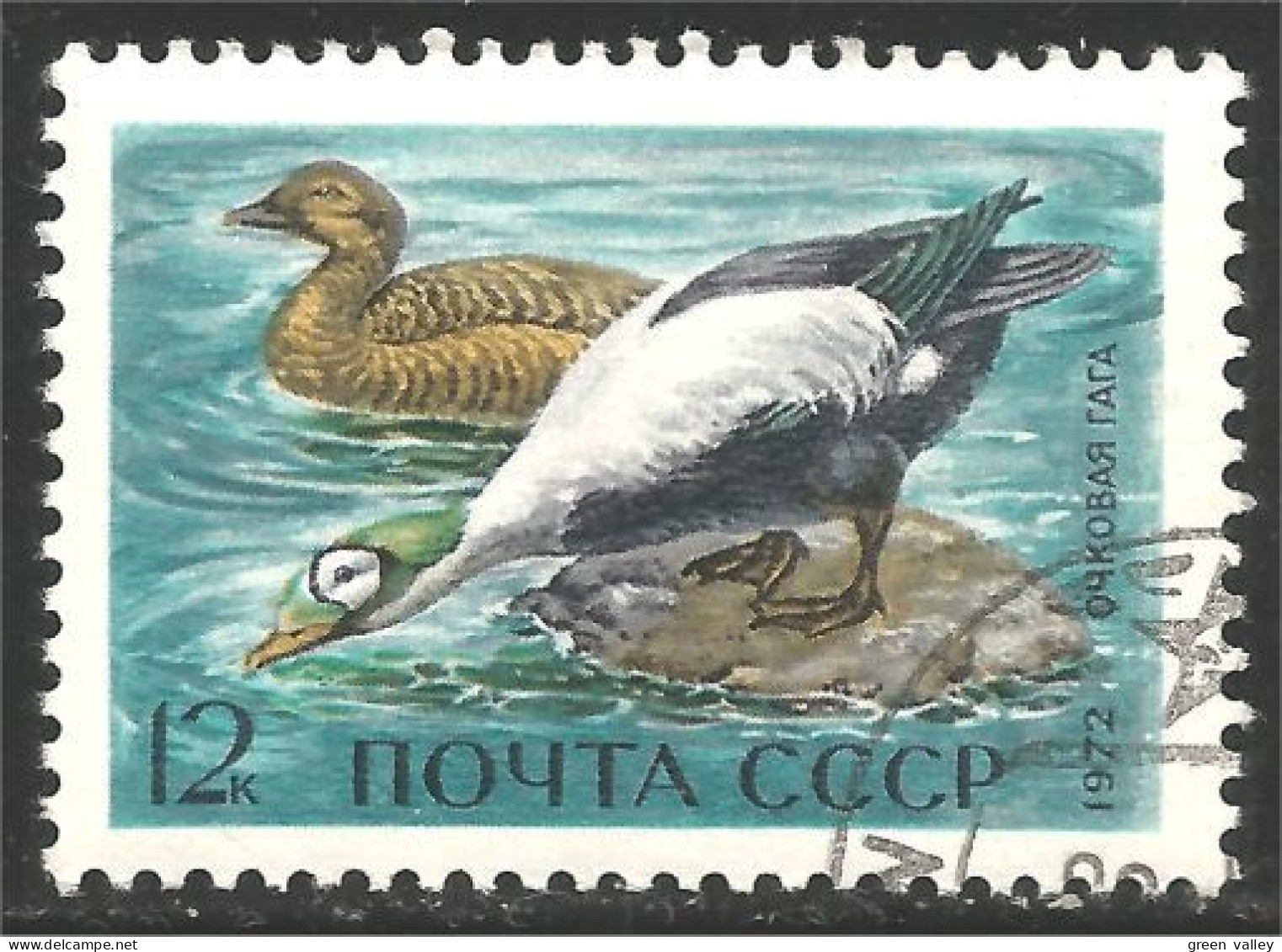 773 Russie Canard Duck Ente Anatra Pato Eend (RUK-634) - Canards
