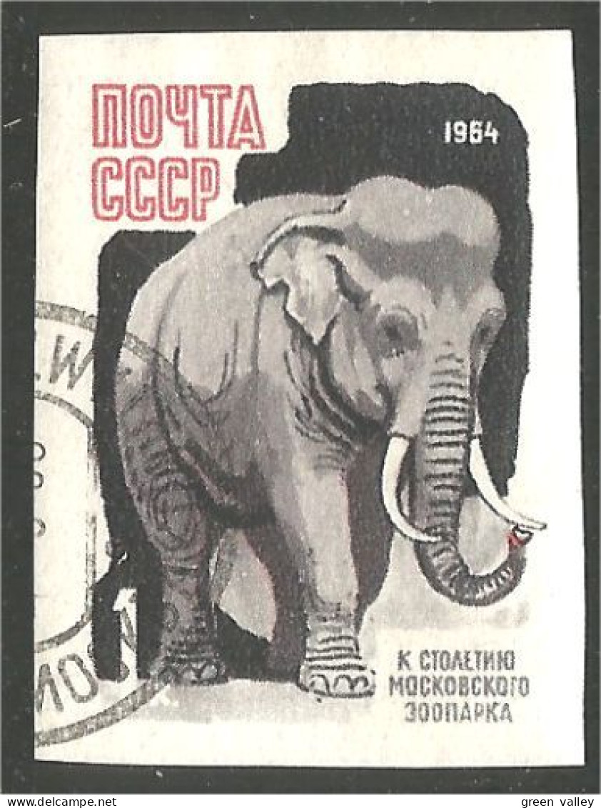 773 Russie 1964 Elephant Elefante Norsu Elefant Olifant Imperforate Non Dentelé (RUK-613) - Used Stamps