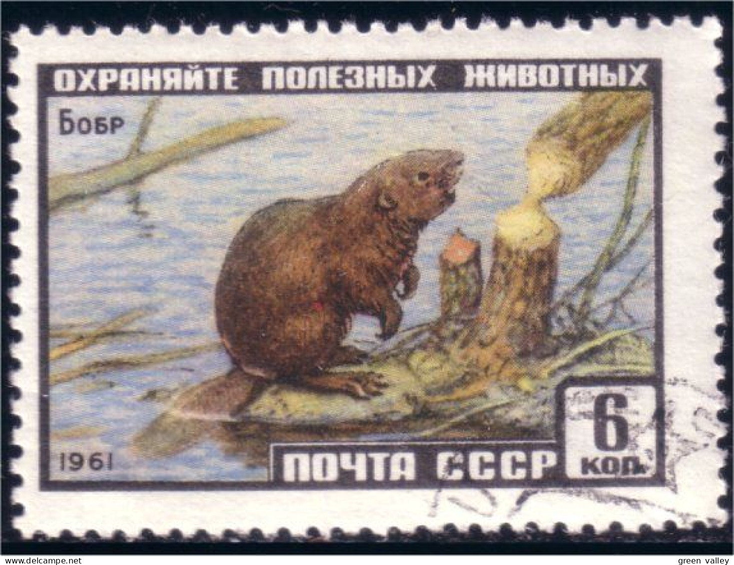 773 Russie Castor Beaver (RUK-538) - Knaagdieren