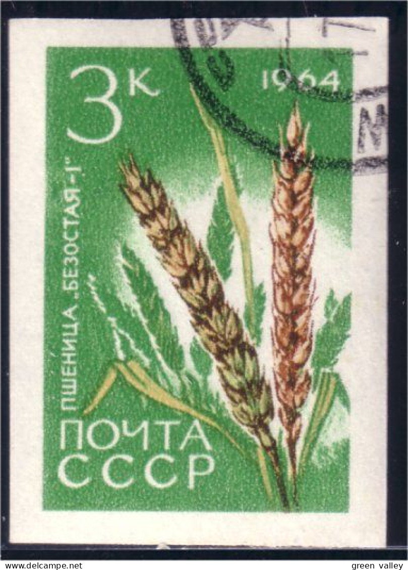 773 Russie Wheat Ble Blé Cereal Céréale Imperforate Non Dentelé (RUK-512) - Alimentation