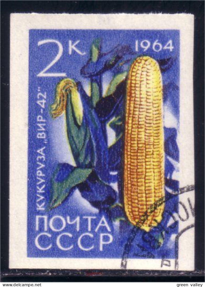 773 Russie Corn Mais Maize Imperforate Non Dentelé (RUK-511) - Alimentation