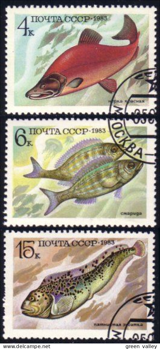 773 Russie Poissons Comestibles Food Fish 1983 (RUK-480) - Oblitérés