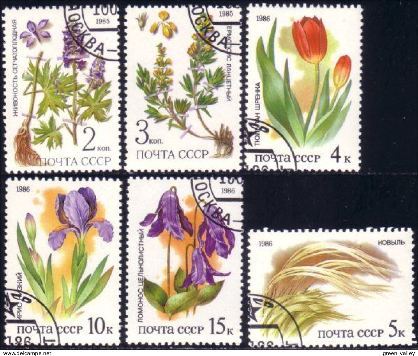 773 Russie Fleurs Flowers Russian Steppes Russes 1986 (RUK-484) - Used Stamps