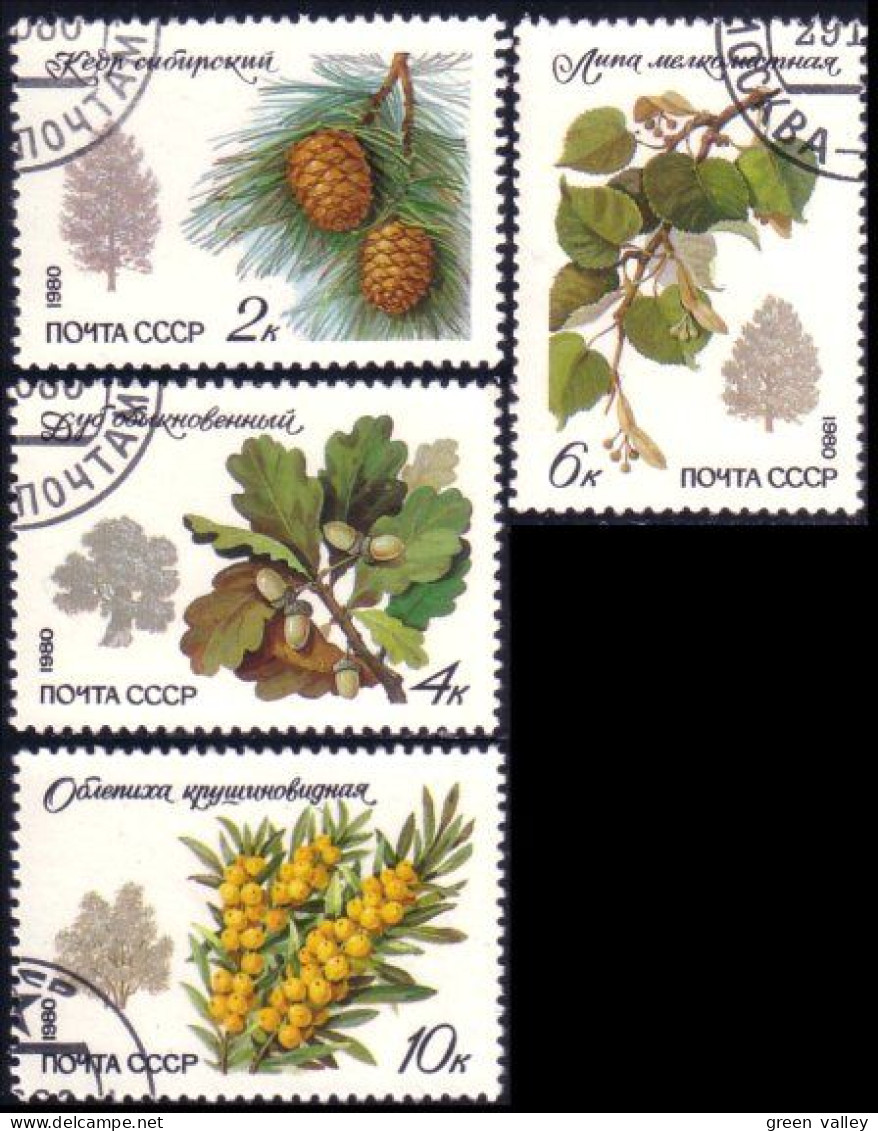 773 Russie Arbousier Pin Chene Siberian Pine Oak Lime Tree Sea Buckthorn 1980 (RUK-473) - Oblitérés