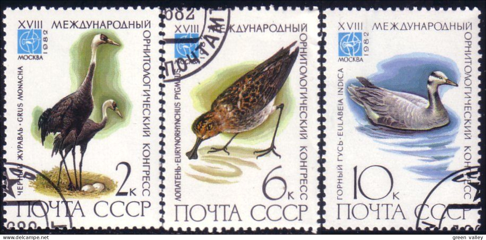 773 Russie Oiseaux Rare Birds 1982 (RUK-477) - Used Stamps