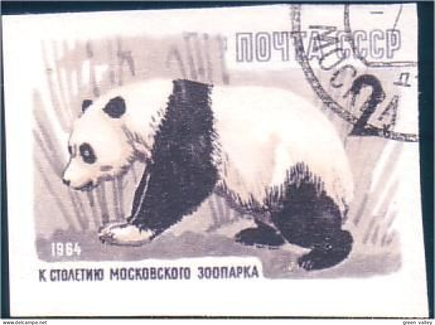 773 Russie Ours Panda Bear Non Dentelé Imperforate Stamp 1964 (RUK-379) - Orsi