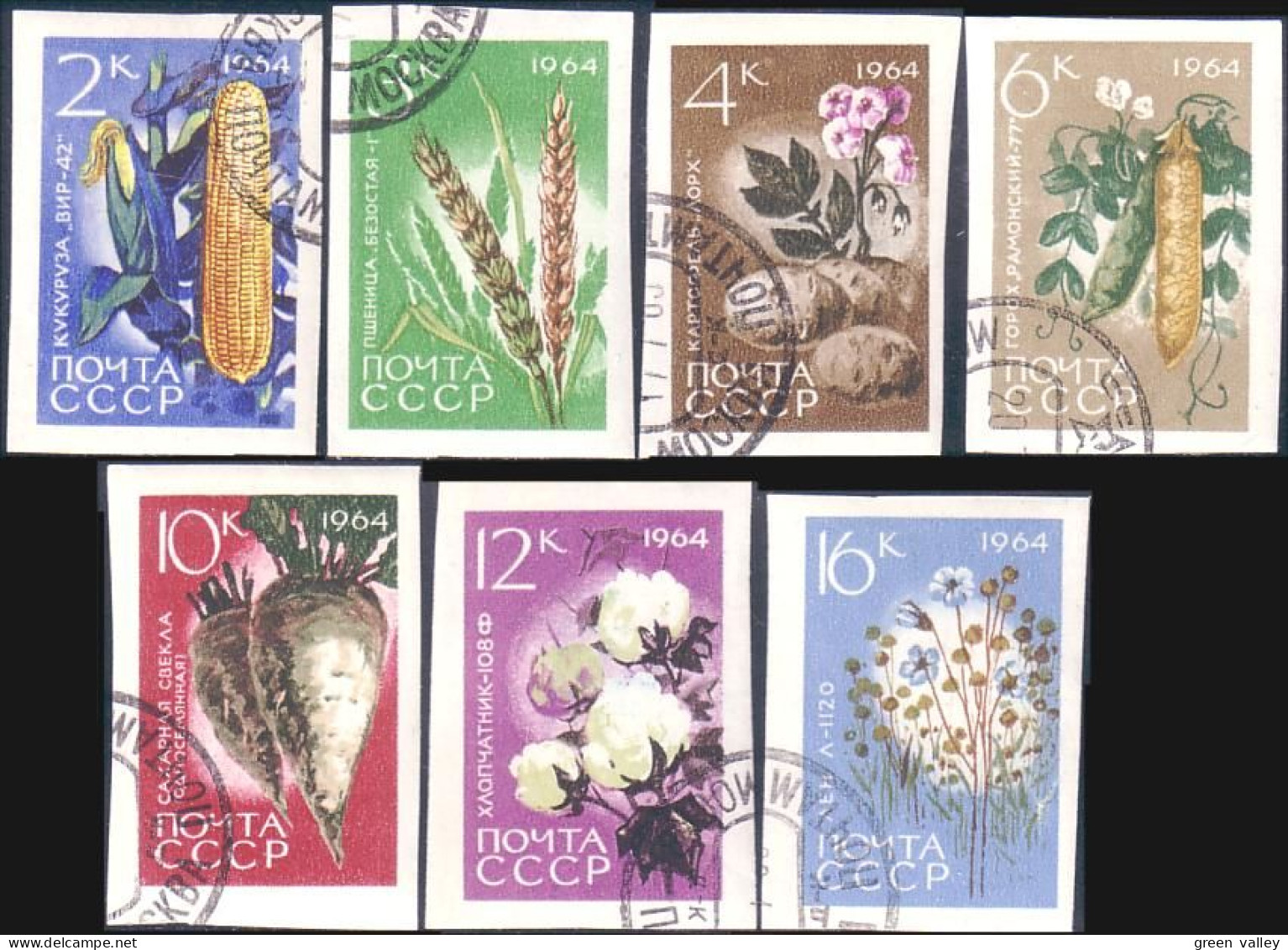 773 Russie Vegetable Legumes Complete Set Non Dentelés Imperforate Stamps 1964 (RUK-371) - Legumbres