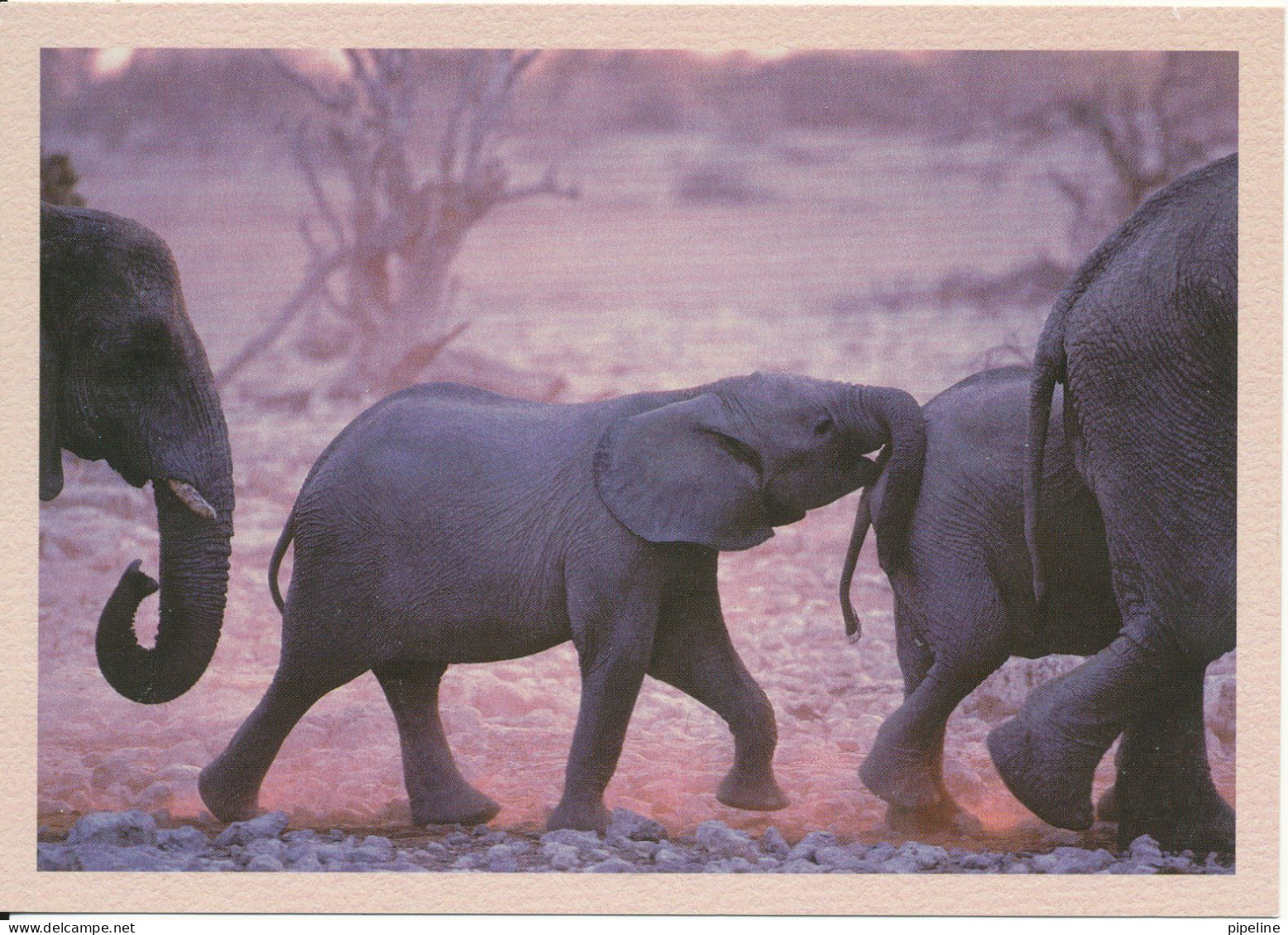 Namibia Postcard Sent To Germany (Elephant) Leopard On The Stamp - Namibië