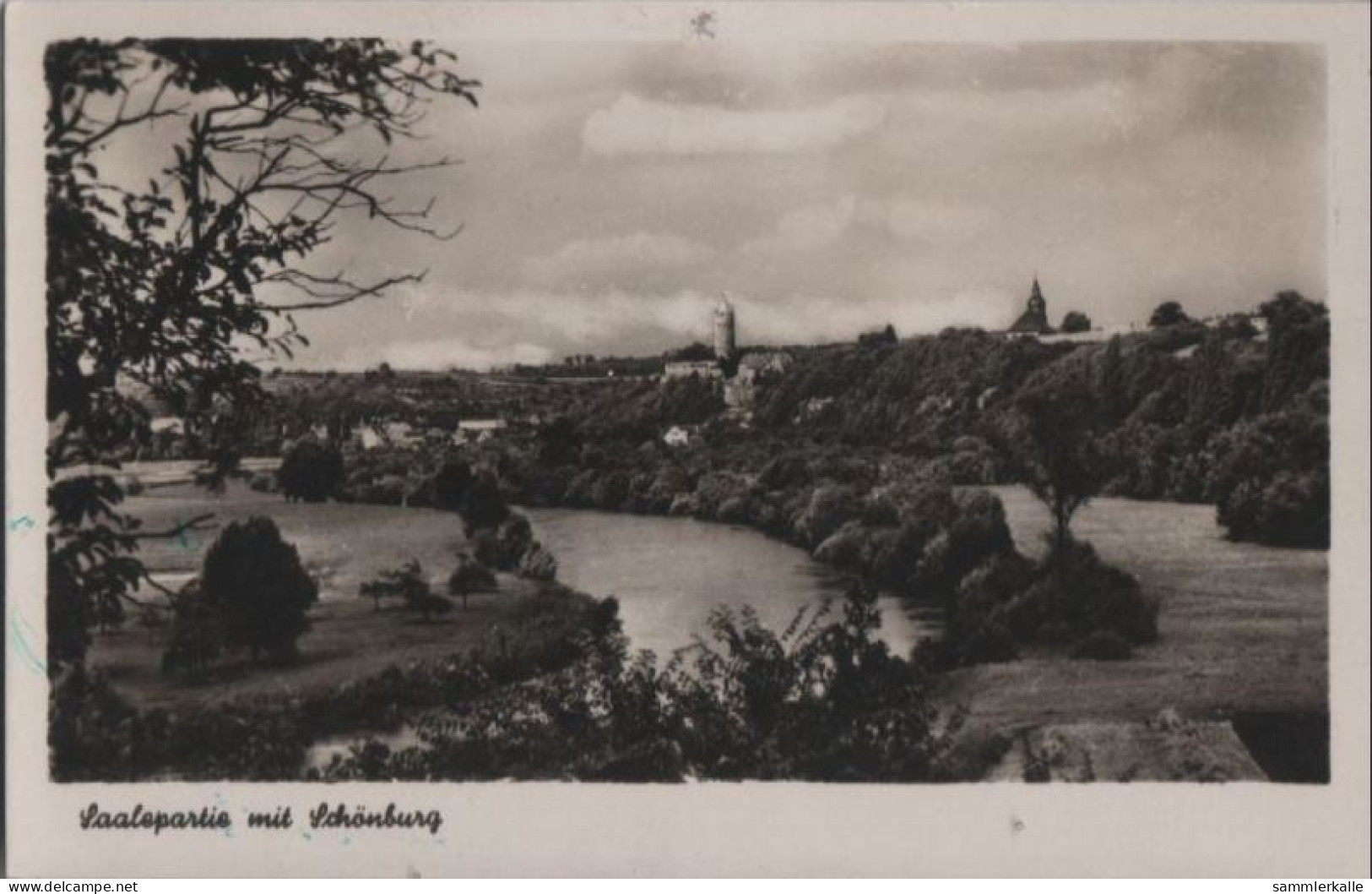 57916 - Schönburg - Burgruine - Ca. 1950 - Naumburg (Saale)