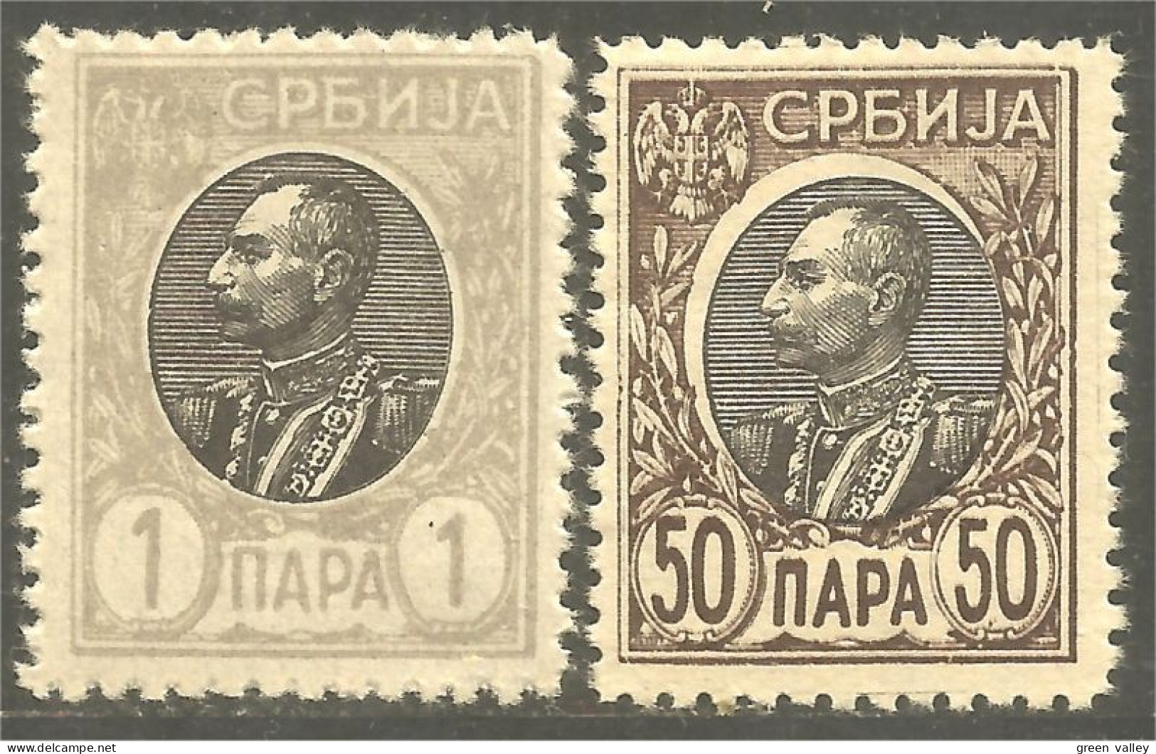 798 Serbie 1905 Roi Peter I Karageorgevich MH * Neuf (SER-20) - Serbie