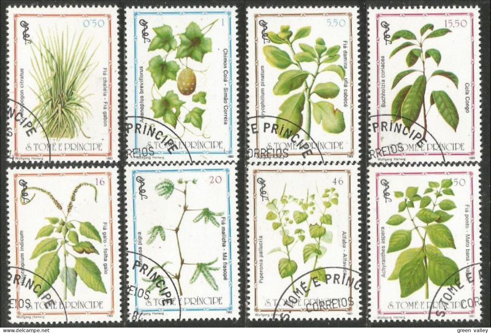 788 Sao Tome Principe Plante Plant Heilpflanze Pflanze Medicinal Médicinale (SAO-23c) - Plantas Medicinales