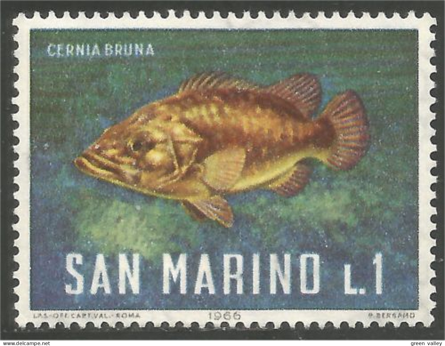 786 San Marino Bass Poisson Fish Fisch Pesce Pescado Peixe Vis MH * Neuf (SAN-108) - Fishes