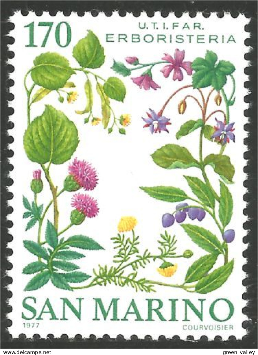 786 San Marino Medicinal Plants Plantes Médicinales Pharmacie MNH ** Neuf SC (SAN-62b) - Medicinal Plants