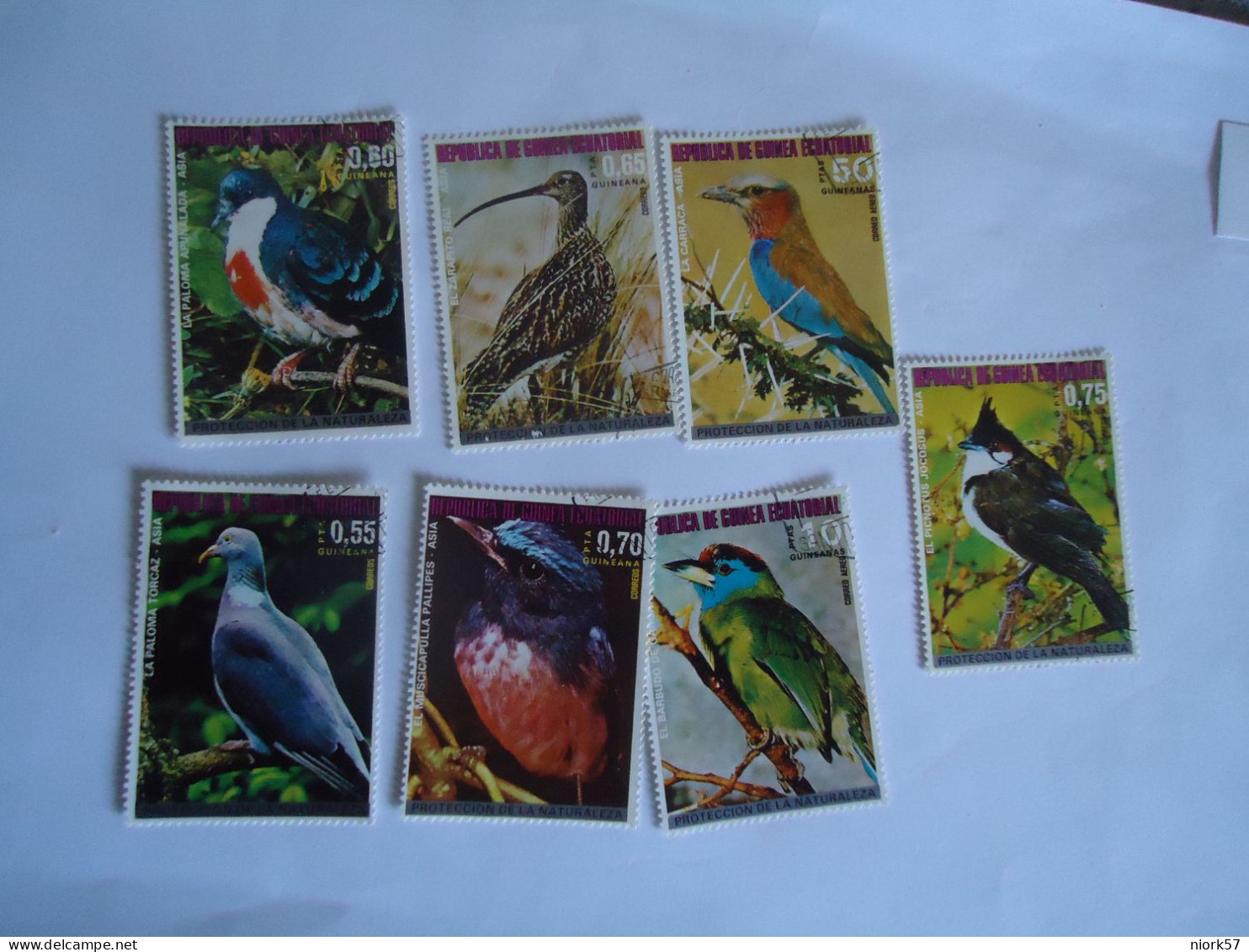 GUINEA ECUATORIAL   USED  BIRD BIRDS OWLS - Owls