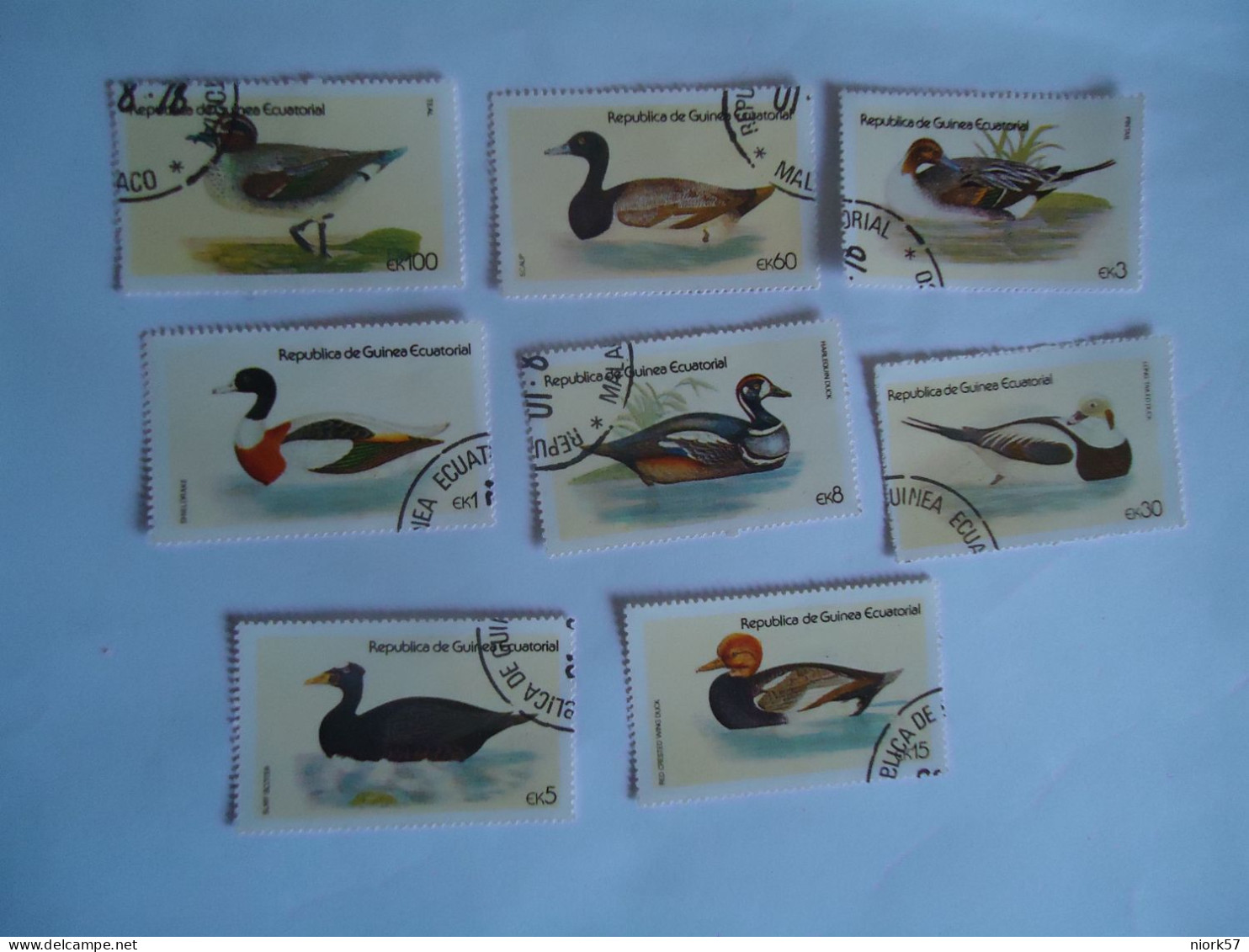 GUINEA ECUATORIAL 8  USED  BIRD BIRDS DUCKS - Canards