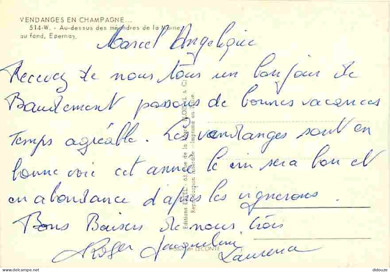 Vignes - Vendanges En Champagne - Au Dessus Des Méandres De La Marne - Au Fond Epernay - CPM - Voir Scans Recto-Verso - Viñedos