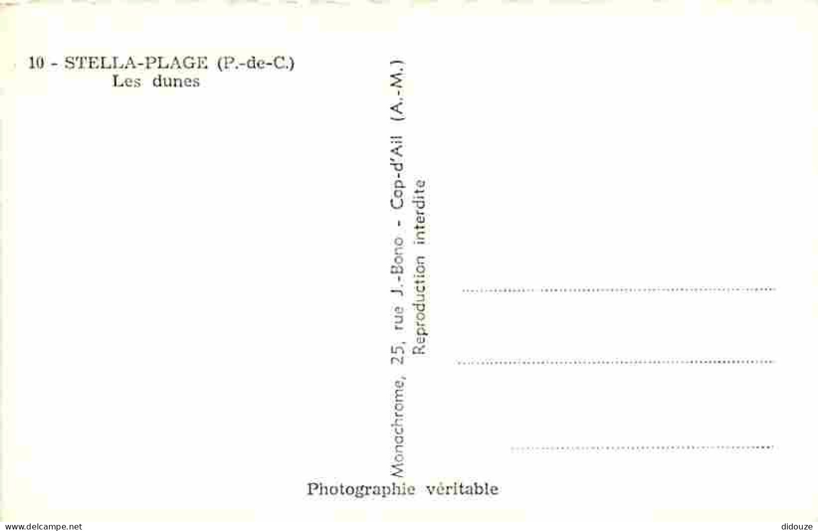 62 - Stella Plage - Les Dunes - CPM - Voir Scans Recto-Verso - Other & Unclassified