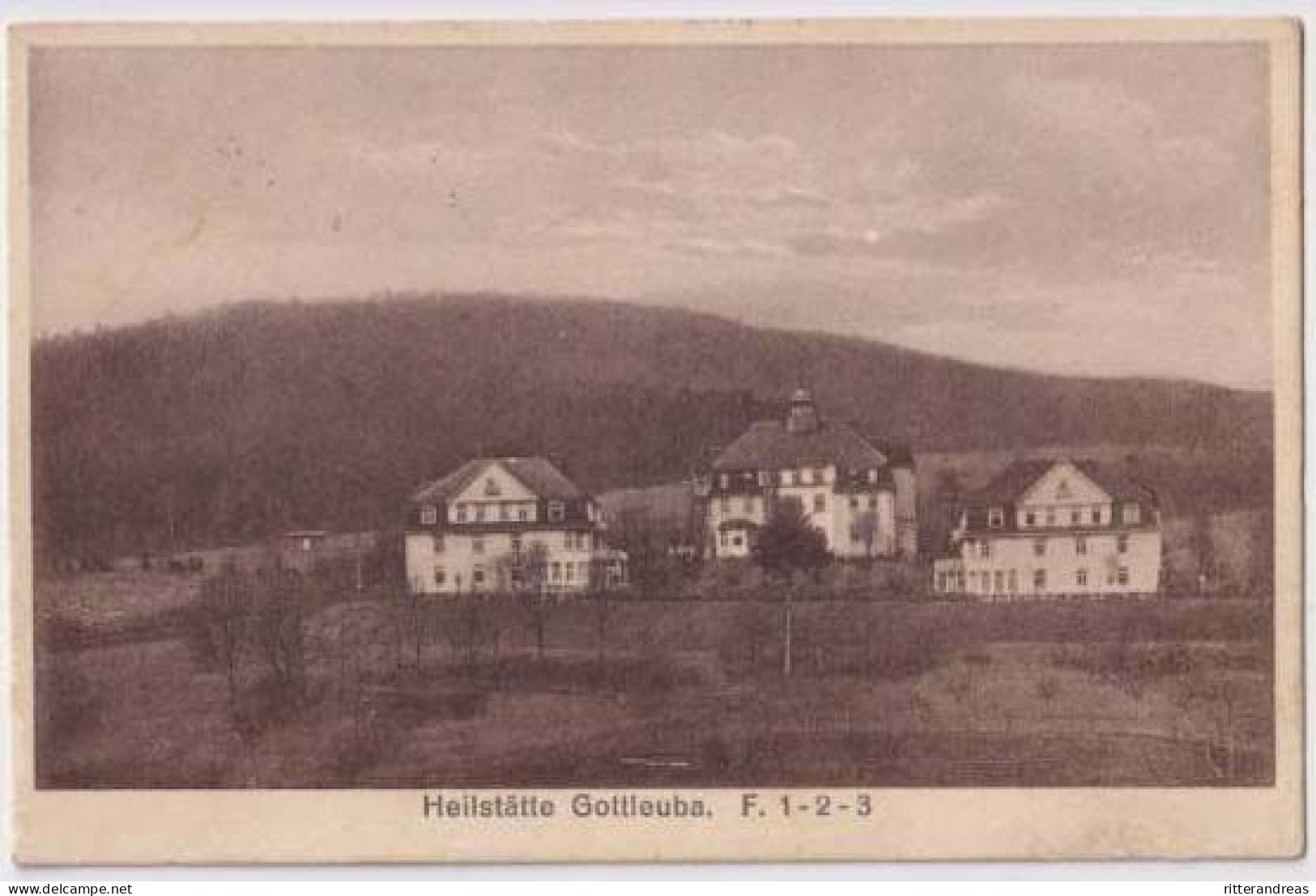 AK Bad Gottleuba Berggießhübel Heilstätte Ca 1910 (Al01) - Bad Gottleuba-Berggiesshuebel