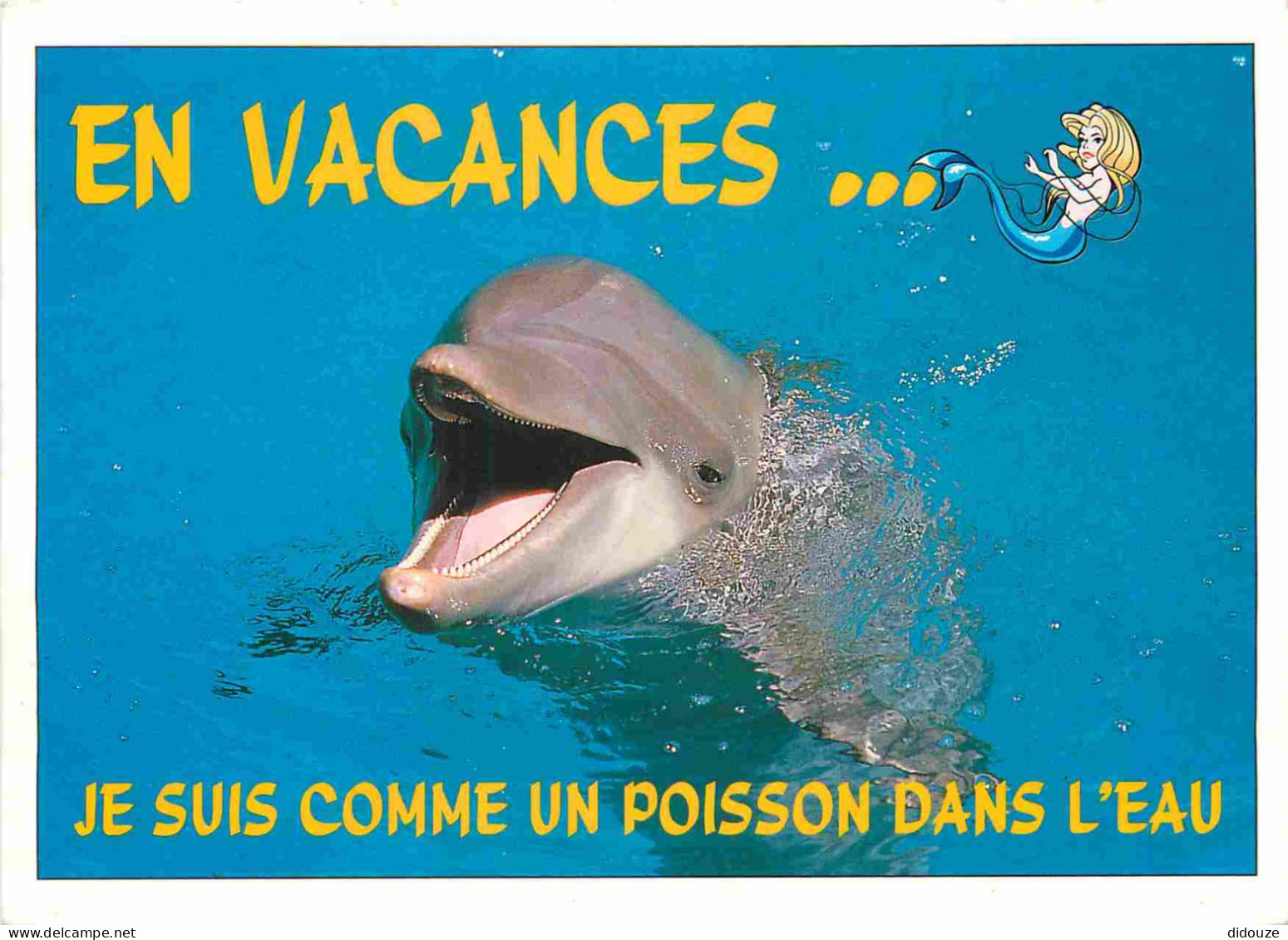 Animaux - Dauphin - Dolphin - Carte à Message - CPM - Voir Scans Recto-Verso - Dolphins