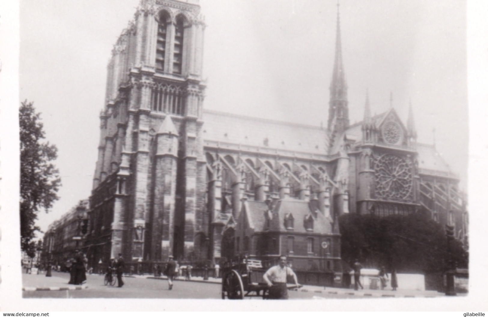 Photo Originale - 1941 - Guerre 1939/45 - PARIS Sous L'occupation Allemande - Notre Dame - Krieg, Militär