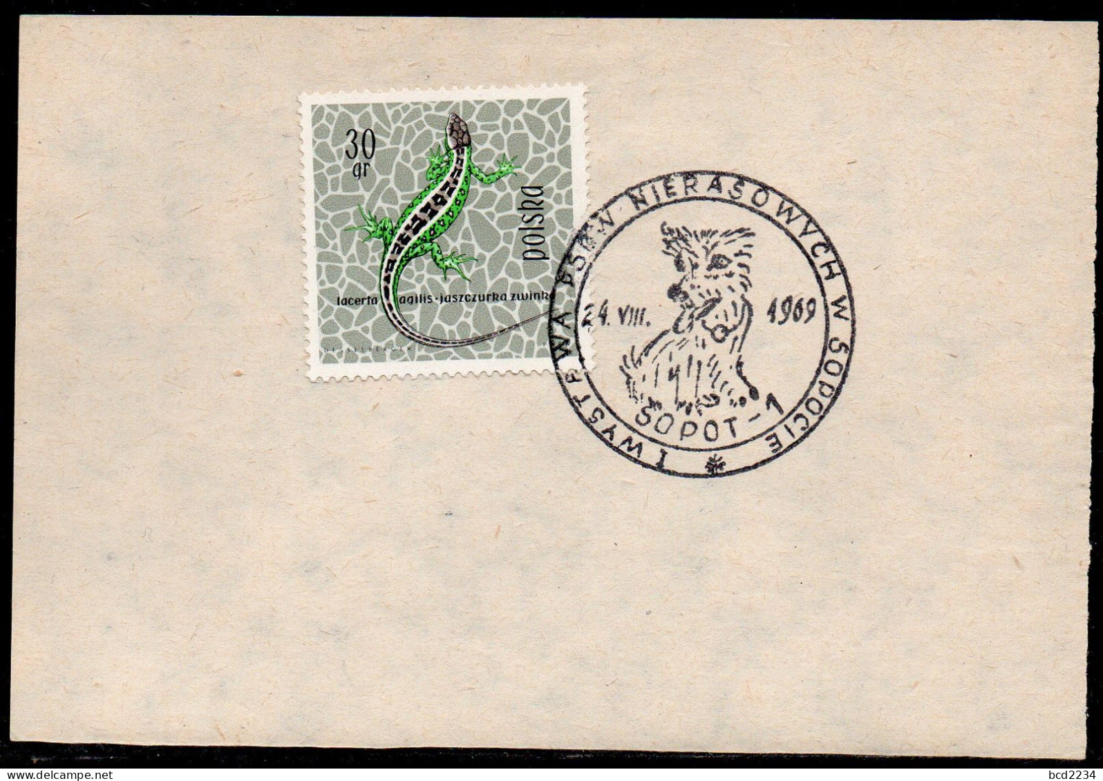 POLAND 1969 I NON-PEDIGREE DOG SHOW SOPOT SPECIAL CANCEL ON PAPER DOGS - Cani