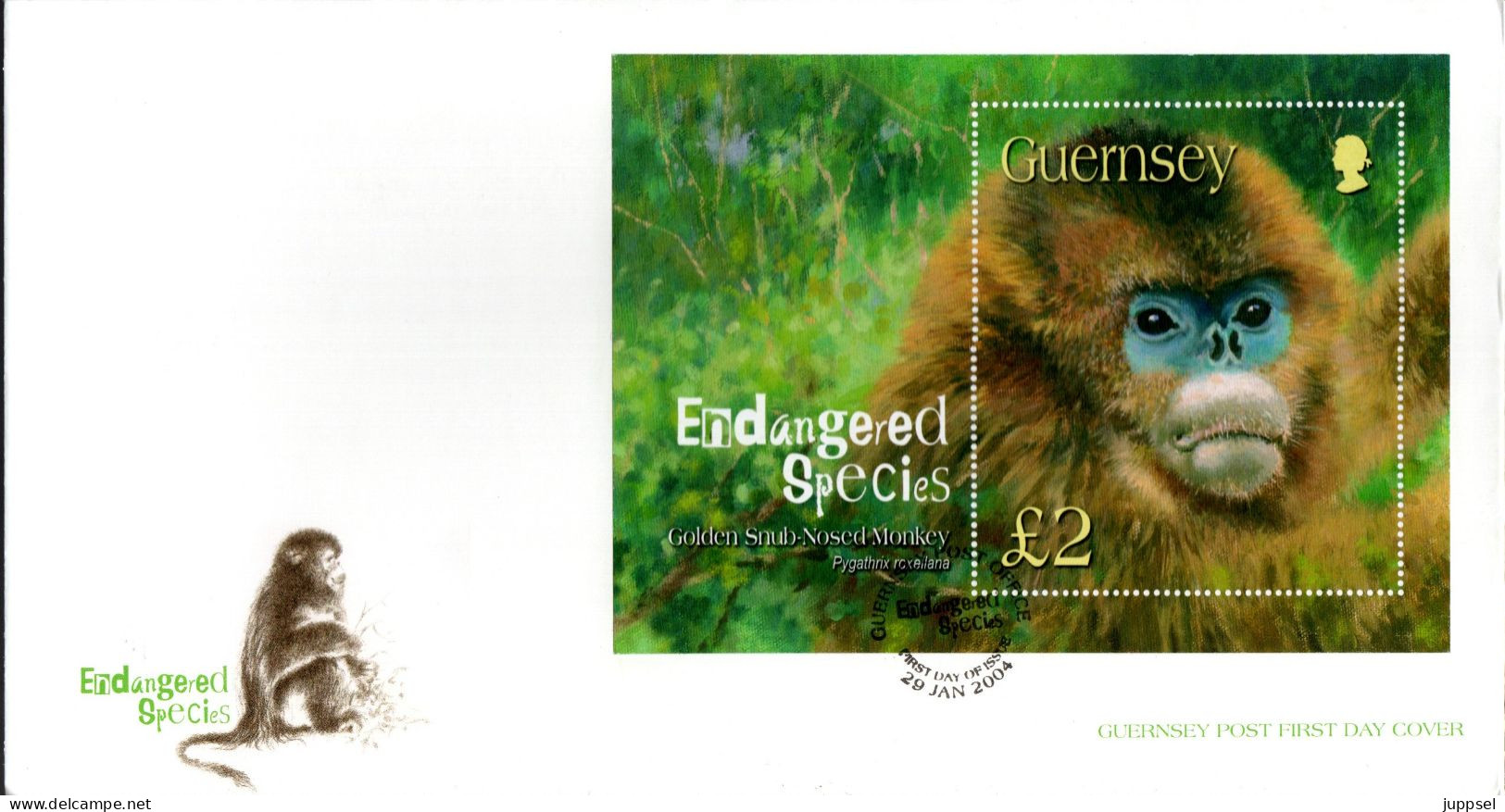 GUERNSEY  FDC,  Golden Snub-nosed Monkey   /  Lettre De Première Jour, Singe   2004 - Mono