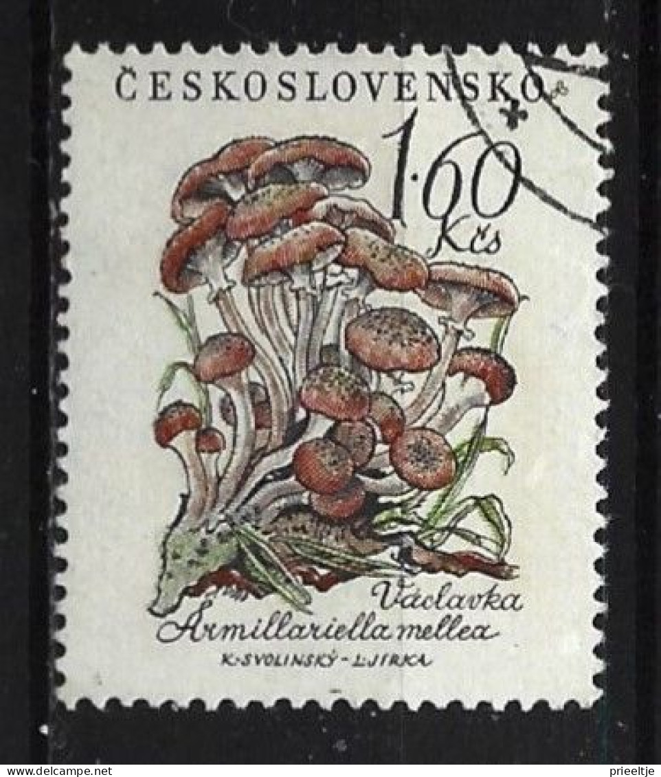 Ceskoslovensko 1958 Mushrooms   Y.T. 988  (0) - Gebruikt