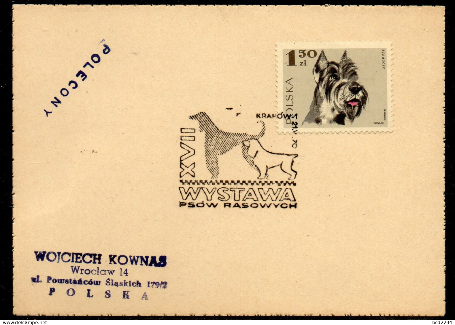 POLAND 1970 XVII PEDIGREE DOG SHOW KRAKOW SPECIAL CANCEL ON CARD DOGS - Cani