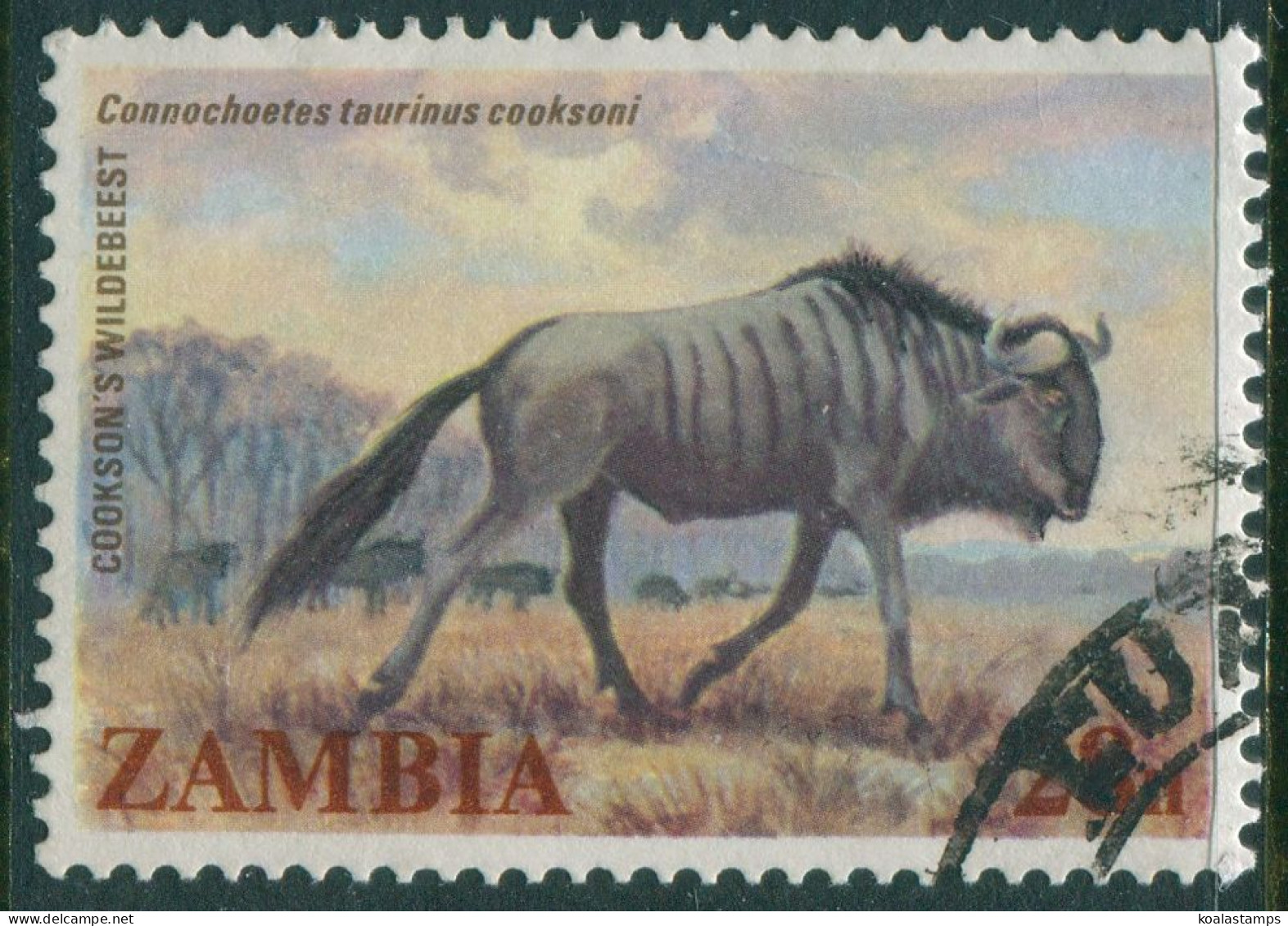 Zambia 1983 SG389 28n Wildebeest FU - Zambia (1965-...)