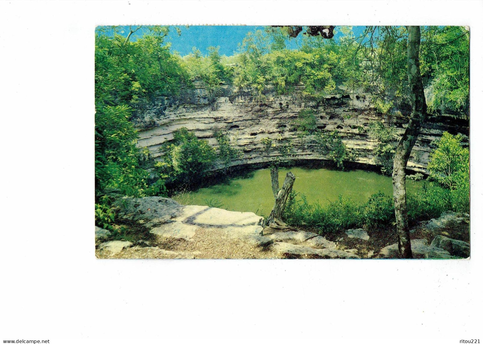 Cpm - Mexique - Mexico - EL CENOTE SAGRADO - CHICHEN ITZA  YUCATAN - - Mexico