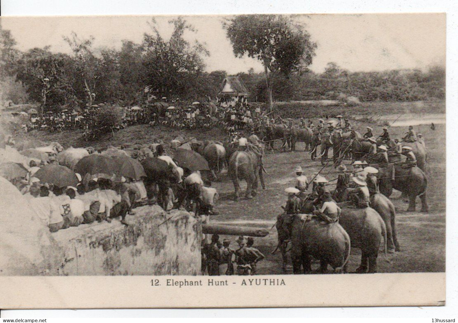 Carte Postale Ancienne Thaïlande - Ayuthia. Elephant Hunt - Chasse - Thaïland