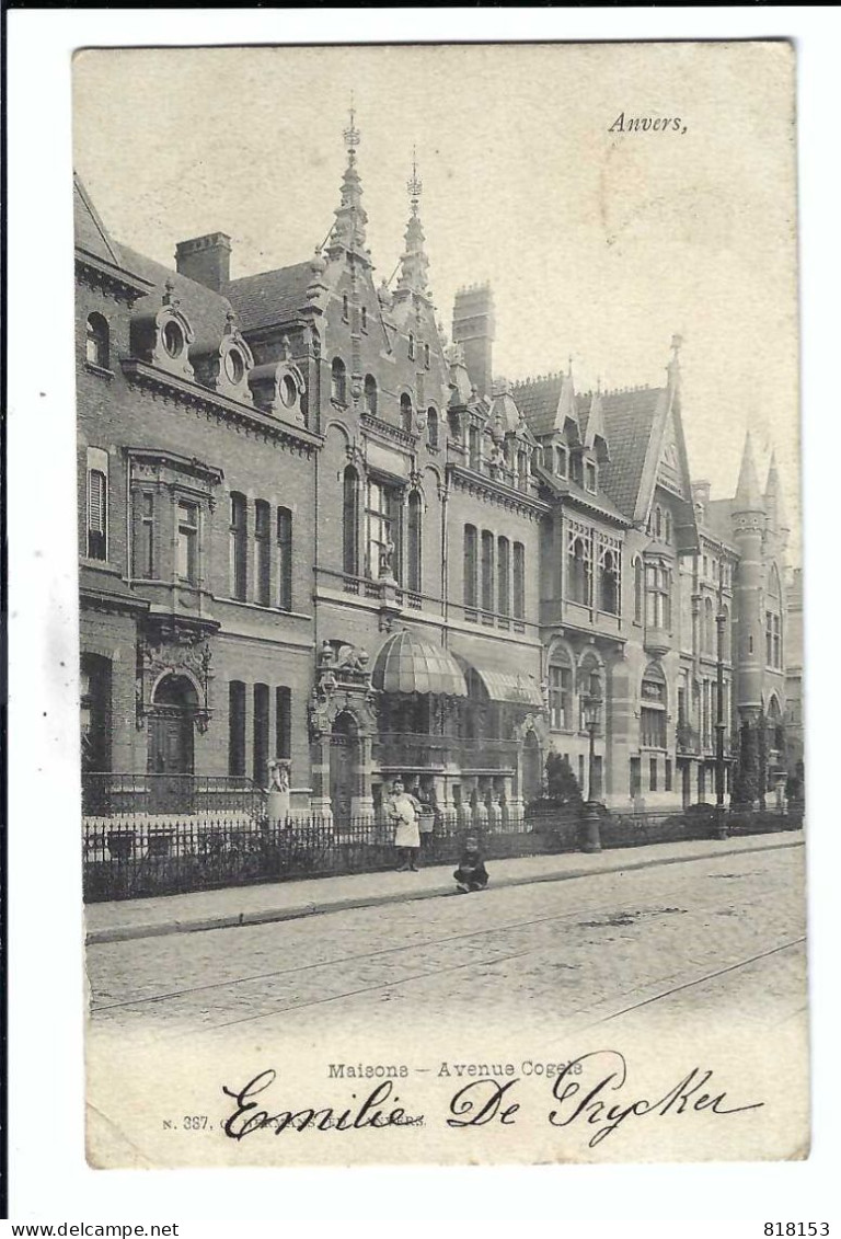 Antwerpen  Anvers  Maisons - Avenue Cogels  1904  G.HERMANS N.387 - Antwerpen