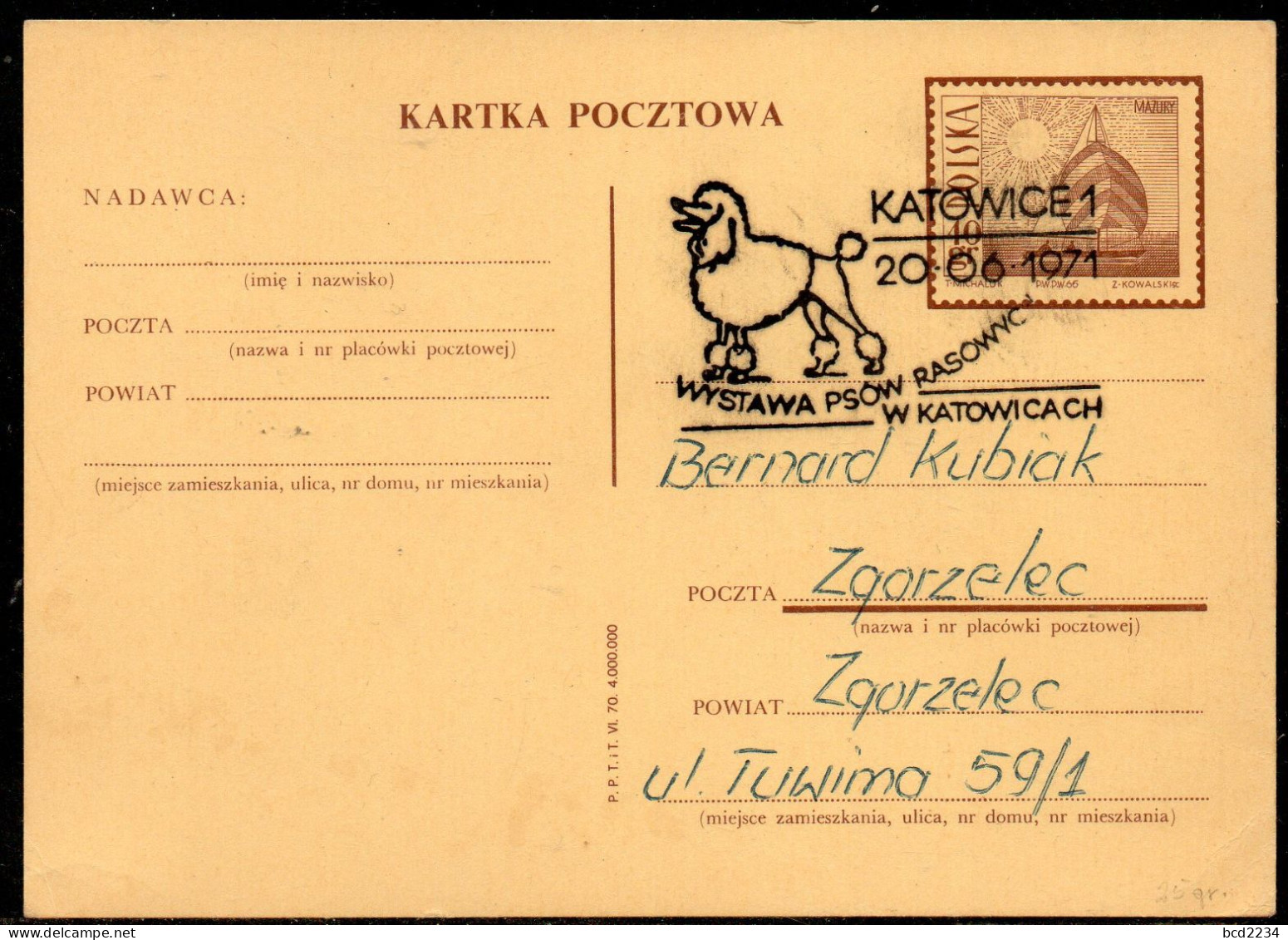 POLAND 1971 PEDIGREE DOG SHOW IN KATOWICE SPECIAL CANCEL ON POSTCARD PC DOGS POODLE - Chiens