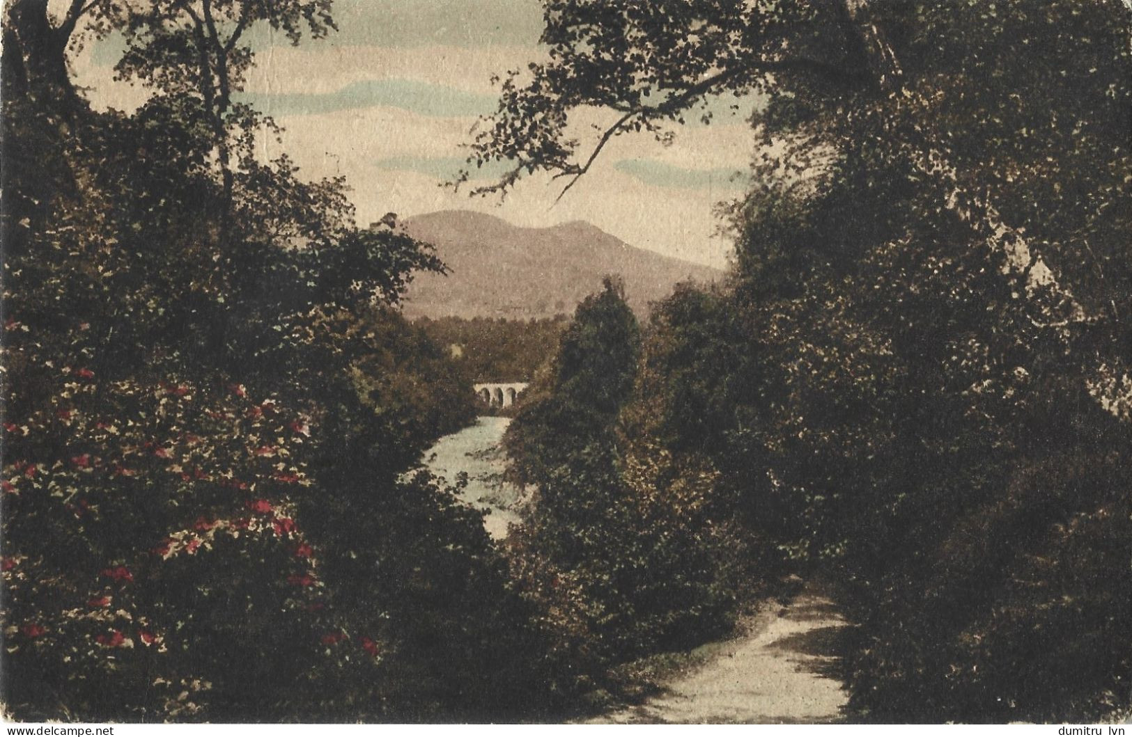 ROMANIA 1920 RAMNICU SARAT (BUZAU COUNTY), BRIDGE, FOREST, MOUNTAIN LANDSCAPE - Roumanie