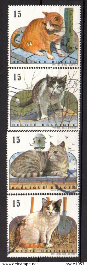 Belgique 1993  Chats Européens - COB 2521 à 2524 (complet) Oblitérés - Used Stamps