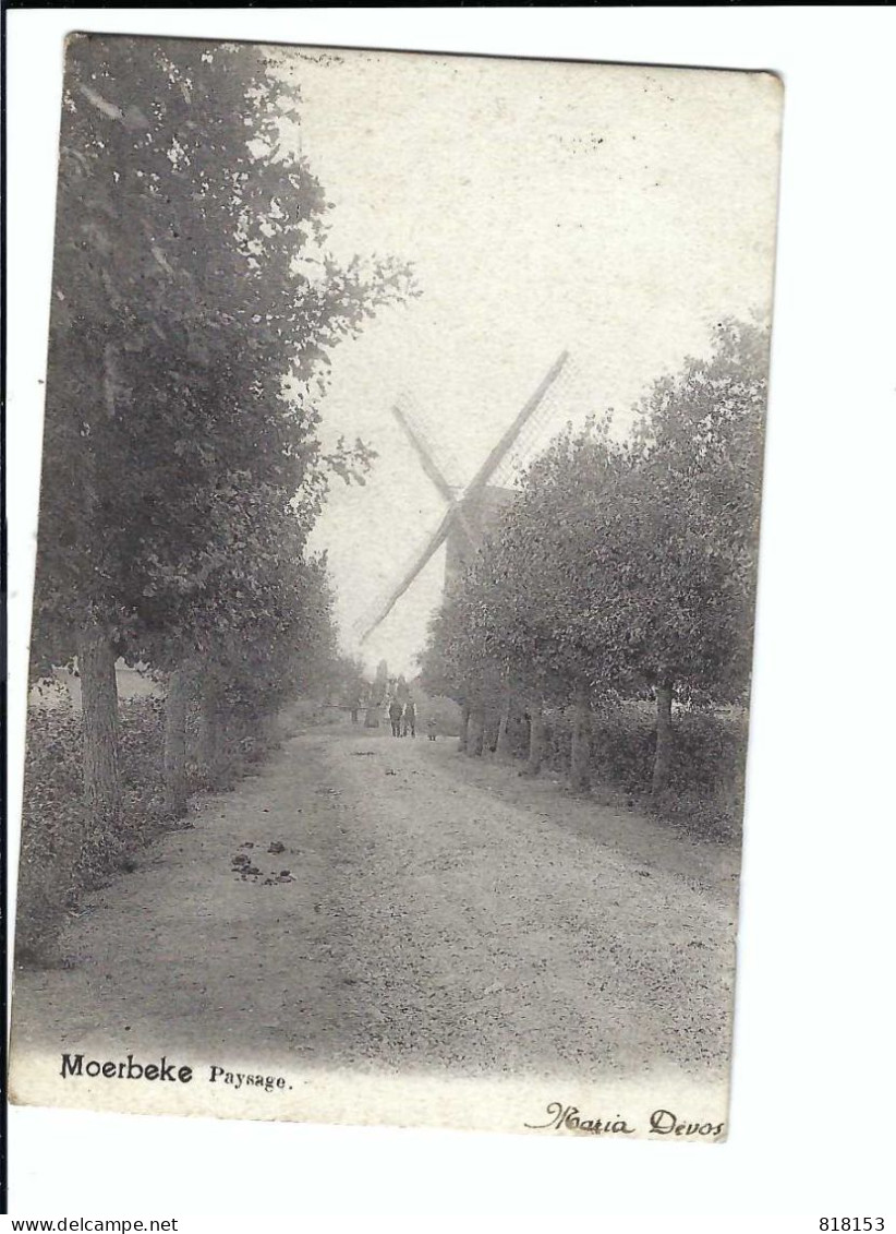 Moerbeke  Paysage  (windmolen)  1904 - Mörbeke-Waas