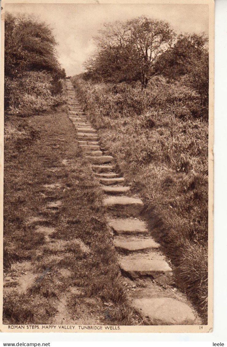 CP31. Vintage Postcard.  Roman Steps. Happy Valley. Tunbridge Wells. Kent - Tunbridge Wells