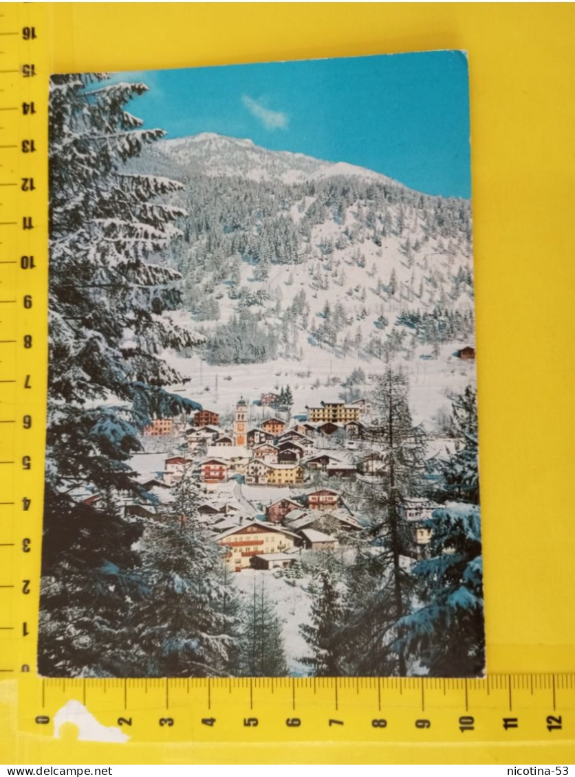 CT-06120- TAI DI CADORE (BL) M.848 - PANORAMA CAMPANILE NEVE - Other & Unclassified