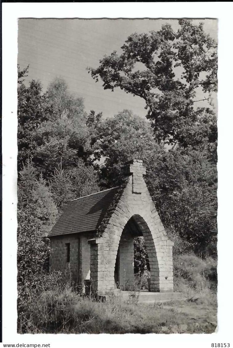 ENVIRONS DE VIRTON  La Chapelle De St Joseph Dans Le Bois De St.Leger - Virton