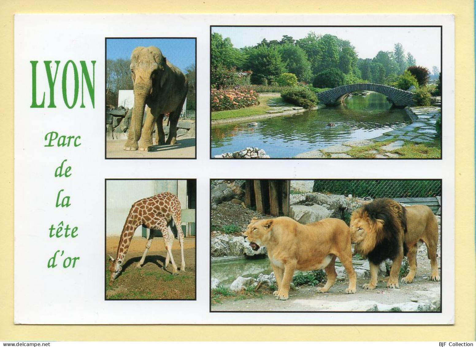 69. LYON (6) Parc De La Tête D'Or / Eléphant / Lions / Girafe / 4 Vues (voir Scan Recto/verso) - Lyon 6