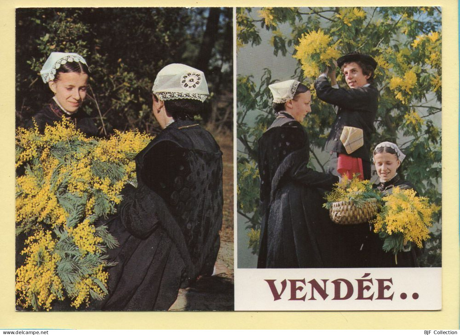 Folklore : La Cueillette Du Mimosa / 2 Vues / La Vendée Touristique - Costumes