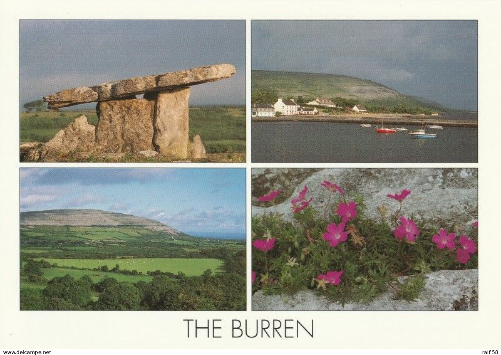 1 AK Irland / Ireland * The Burren (Great Rock) - Ansichten Dieser Karstlandschaft Im County Clare * - Clare