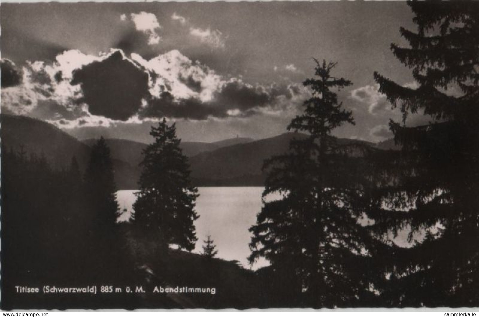 68678 - Titisee - Abendstimmung - Ca. 1960 - Titisee-Neustadt