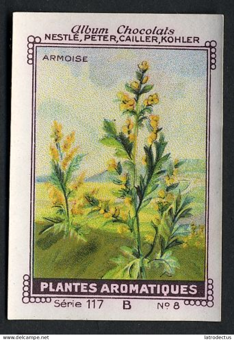 Nestlé - 117B - Plantes Aromatiques, Aromatic Plants - 8 - Armoise, Artemisia - Nestlé